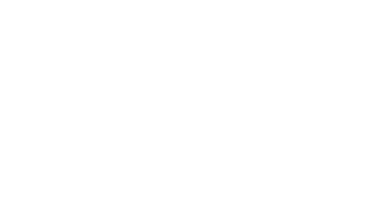 ORACLE PARTNER